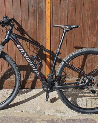 bici muscolare Olympia Rst Blaze  