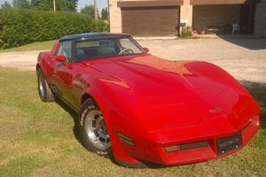 Corvette C3 del 81 