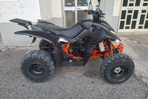 quad Access SP 300