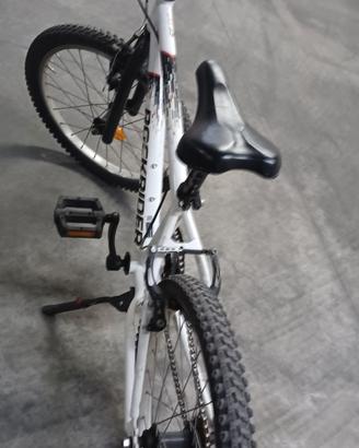 bici bimbo 20"