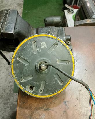 motore ninebot g30 max 