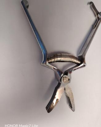 masticatore per alimenti,
