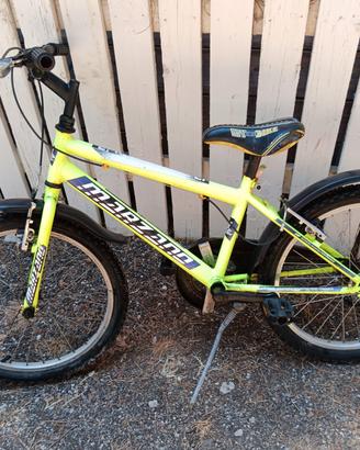 bicicletta 20 Marzano 