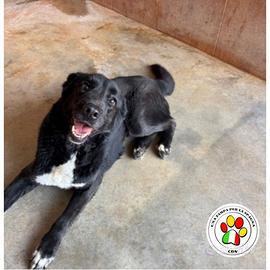 HANNA dal musetto simpatico