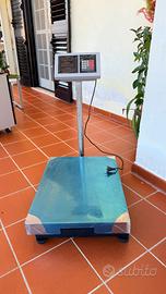 Bilancia elettronica professionale