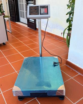 Bilancia elettronica professionale