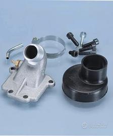 collettori per Oxford/fifty