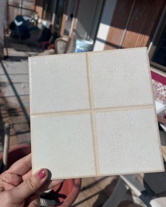 Piastrelle 20 x 20  beige a riquadri da 10