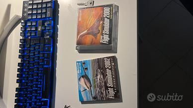 flight simulator 2000 e 2002