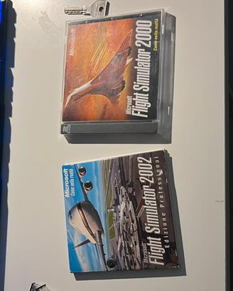 flight simulator 2000 e 2002