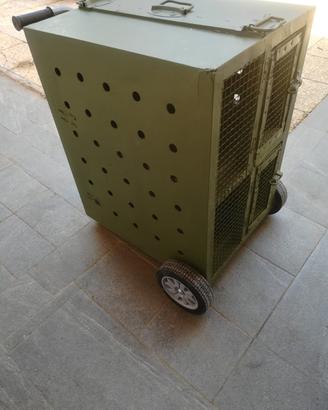 trasportino per piccioni da caccia 