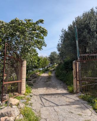 Campagna in c.da mongiafora, Leonforte