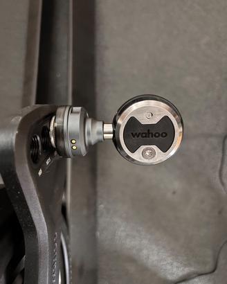 Wahoo speedplay power