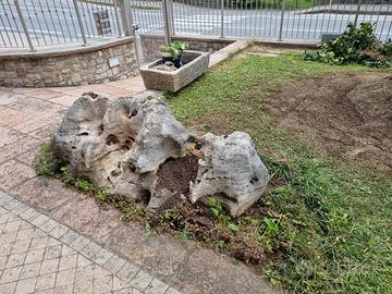 roccia da giardino 