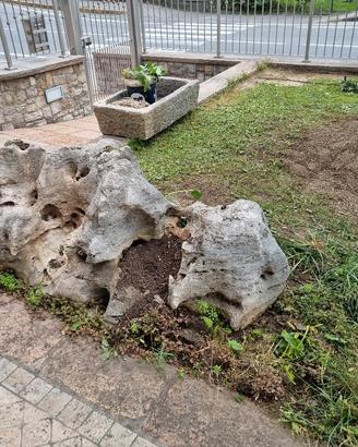 roccia da giardino 