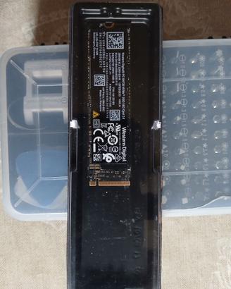 SSD Western Digital NVMe 256GB