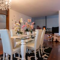 Montegrotto terme: bifamiliare con giardino di 750