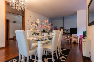 Montegrotto terme: bifamiliare con giardino di 750