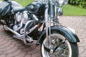 Harley Davidson springer