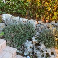 Pietre roccia giardino