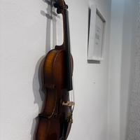 Violino