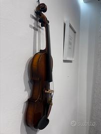 Violino