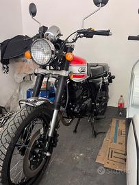 Mash seventy five125