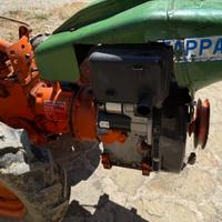 Fresa pasquali 14 CV
