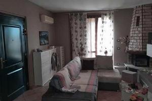 RGE 118/2024 Trib Pavia