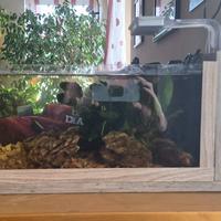 Mini Acquario cm. 40 x 20 x 20