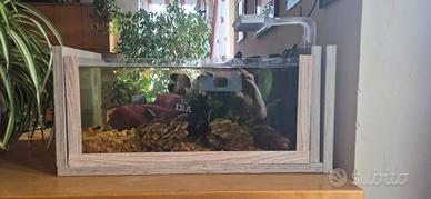 Mini Acquario cm. 40 x 20 x 20