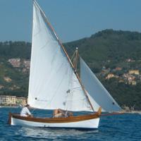Gozzo a vela latina