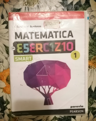 Matematica in esercizio