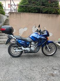 Transalp 650 