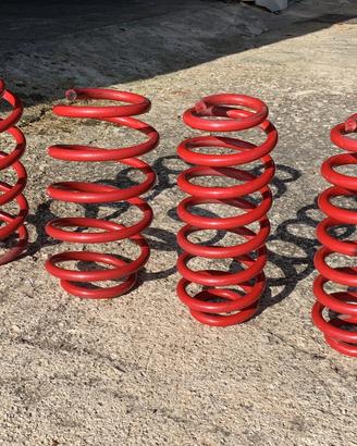 Molle per assetto eibach golf 6