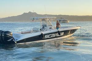 Scarab 35