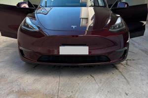 Tesla dual motors