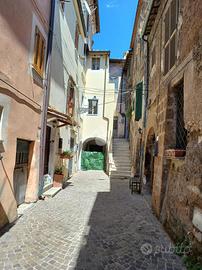 MONOLOCALE A FALERIA