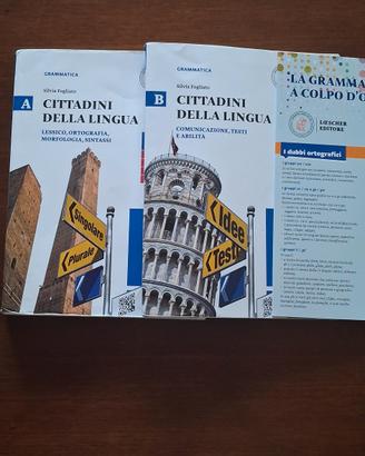 Cittadini della lingua vol. A+B+scheda grammatica