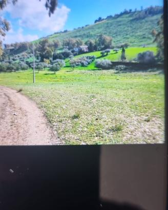 Terreno contrada Rovetto- La Spia