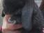 Immagine 6