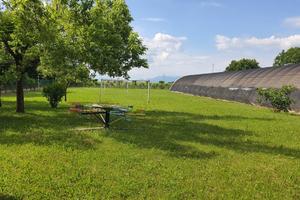 Terreno Agricolo Manzano [Cod. rif 3154827VCG]