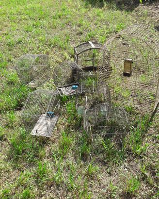 Gabbiette per volatili