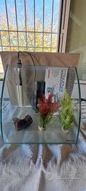 Acquario completo di accessori
