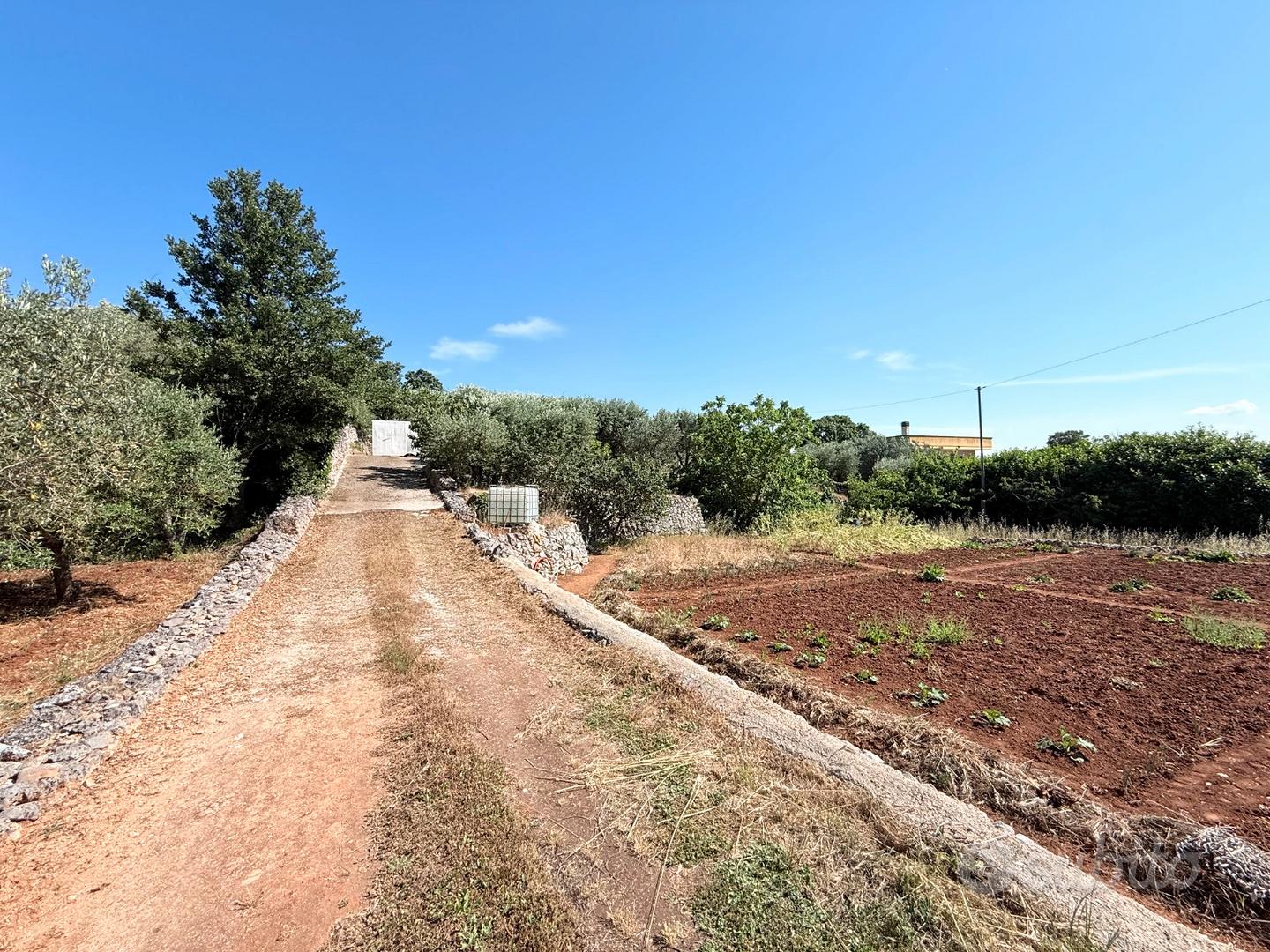 Terreno agricolo - Vista 3