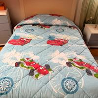 Trapunte 1 piazza e 1/2