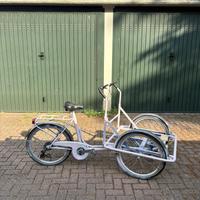 Cargo Bike