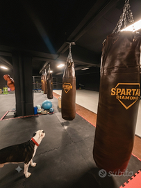 Sacco thai boxe e boxe in pelle vera