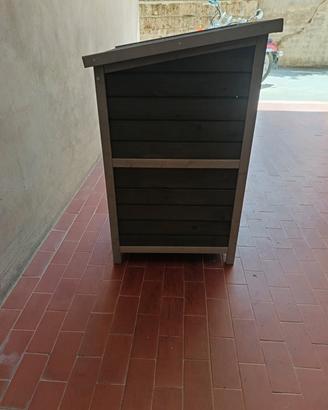 casetta e gioco per gatti 