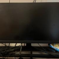 monitor msi 75hz